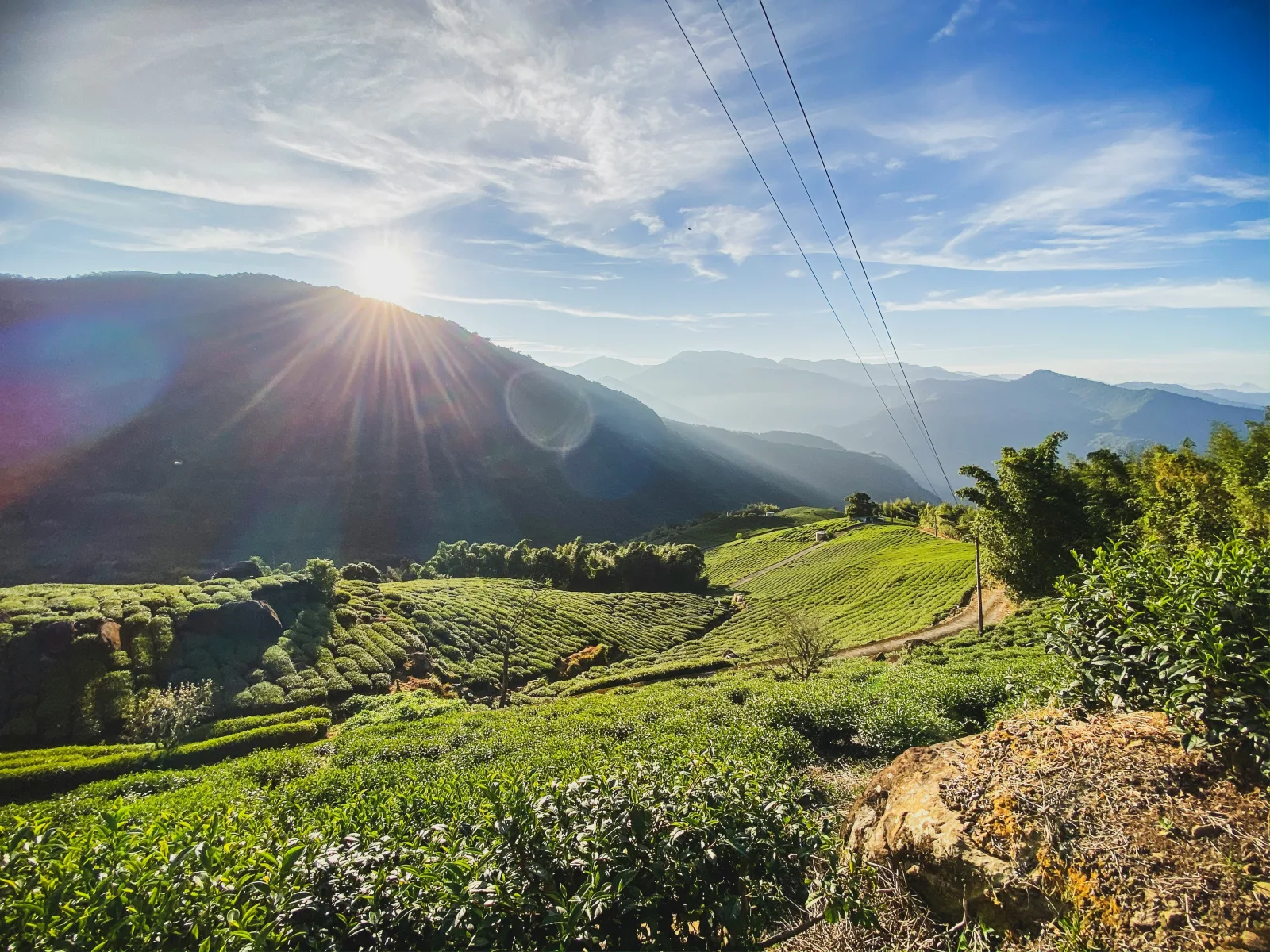 California golden hour
